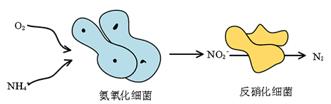 未標題-7.jpg